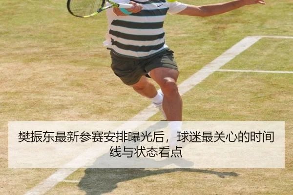 樊振东最新参赛安排曝光后，球迷最关心的时间线与状态看点